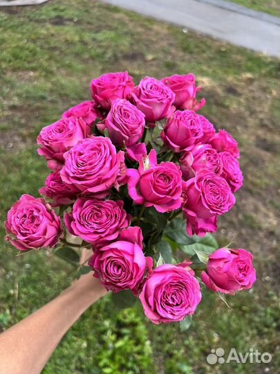 Букет Пионовидные пион кустовые розы