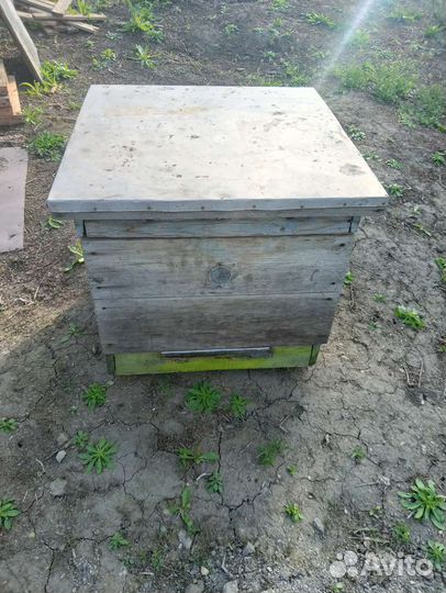 Ульи и прочее