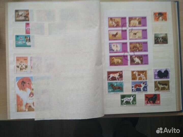 Марки-Кошки и Собаки