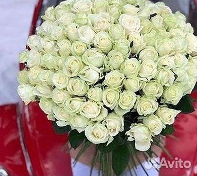 Высокие розы Гигантские розы Доставка цветов