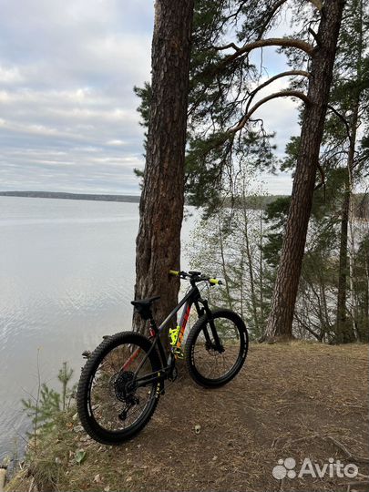 Горный велосипед Trek Roscoe 8 (2022)