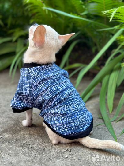 Футболка для собак