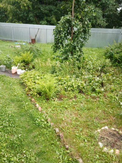 Участок 8 сот. (СНТ, ДНП)