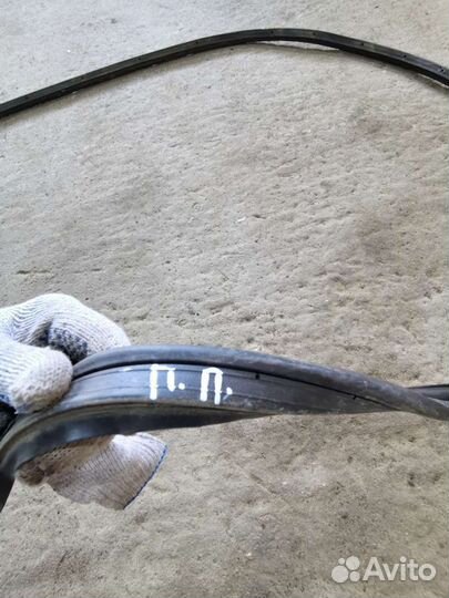 Уплотнитель проёма двери передний правый carisma