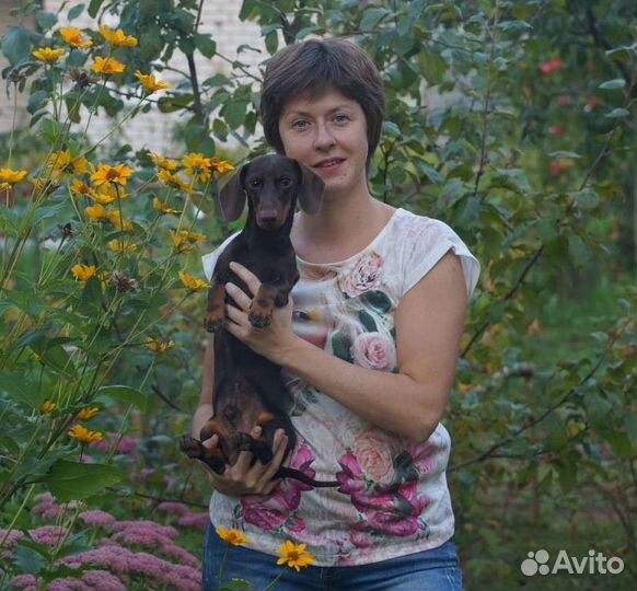 Вязка кофейный кроличий РКФ мальчик