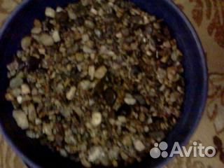 Аквариумные растения и грунт цветной