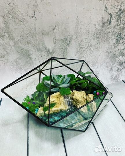 8 марта/Суккуленты/Готовые флорариумы