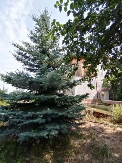 Дача 60 м² на участке 6 сот.