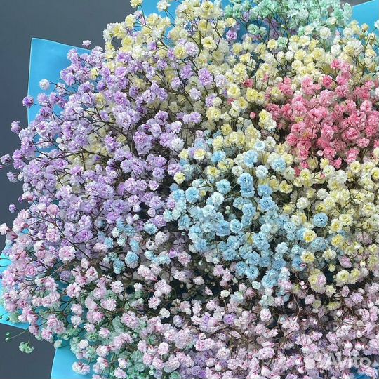 Гипсофила радужная букет Москва