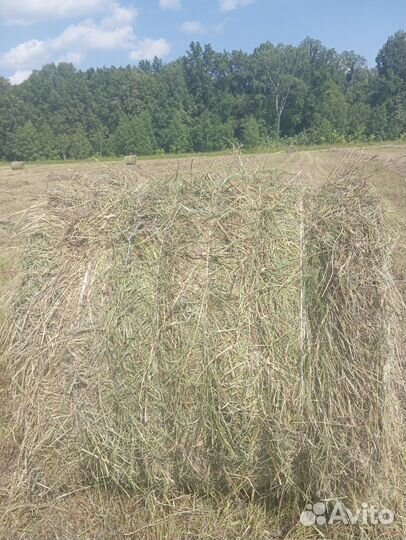 Сено в рулонах