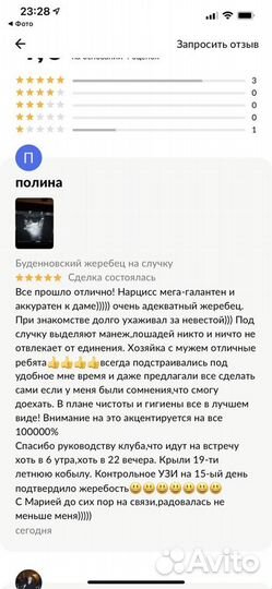 Буденновский жеребец на случку