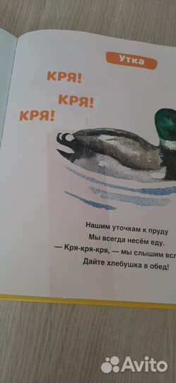 Детские книги для развития малышей Ш. Ахмадуллина