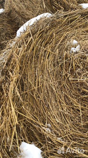 Солома в рулонах