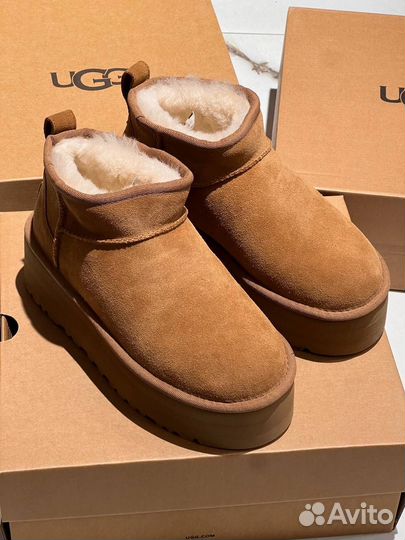 Замшевые Ugg рыжие