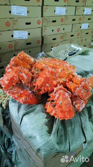 Красная икра честная ценакачество премиум