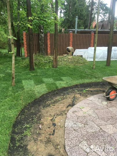 Рулонный газон от производителя эконом