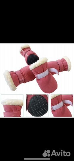 Обувь для собак мелких пород