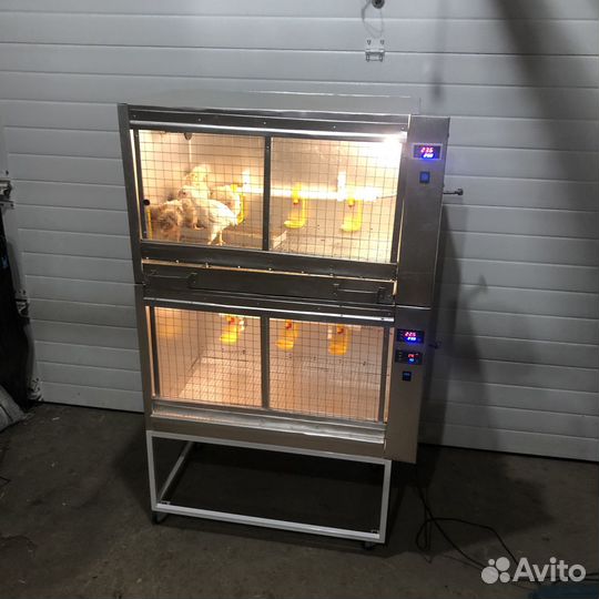 Брудер клетка для цыплят