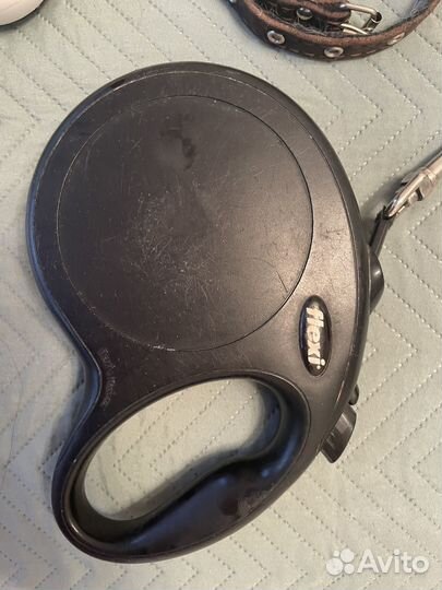 Поводок с ошейником для собак