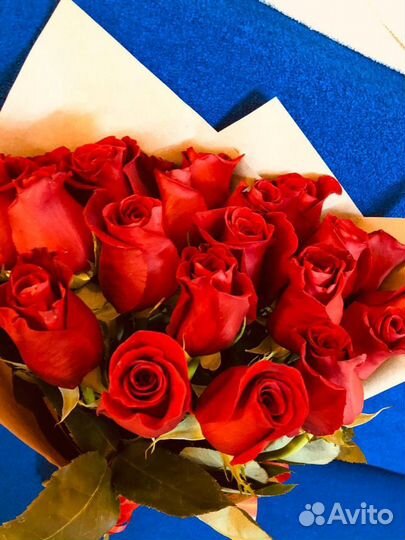 Розы 25 штук 50 см эквадор