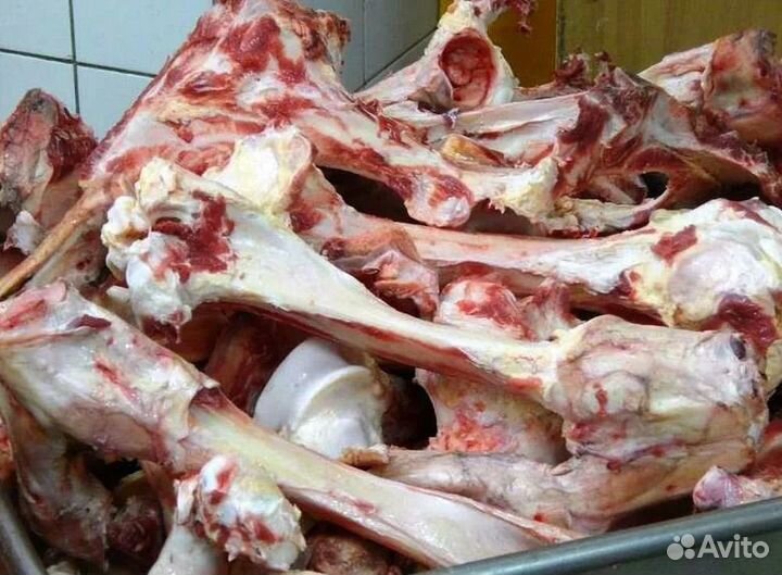 Мясо и кости для собак