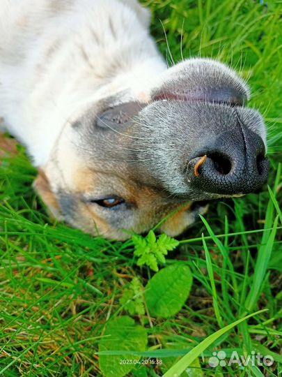 Замечательный мальчик