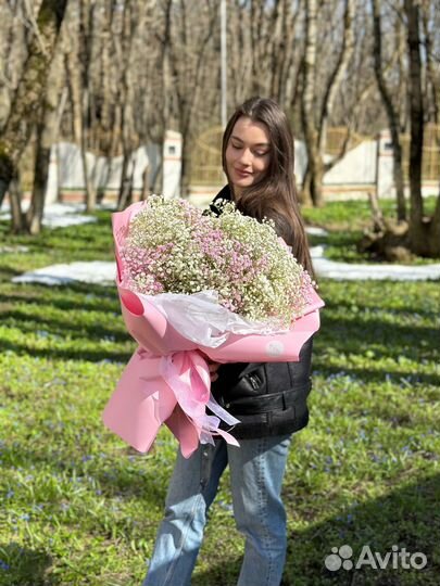 Гипсофила Цветы Букеты Доставка