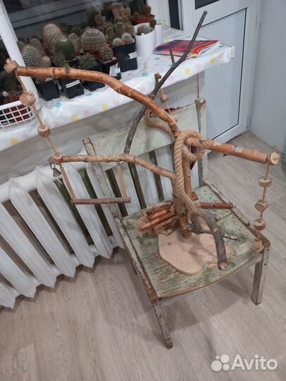 Игровая площадка для попугая