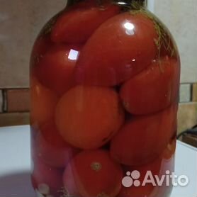 Как вырастить помидоры дома – маленькие хитрости в помощь начинающим — АгроXXI