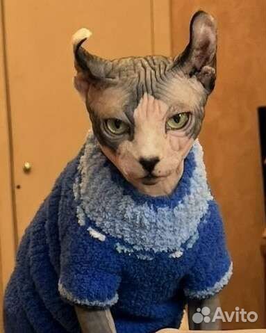 Свитер для кошки в наличии и на заказ