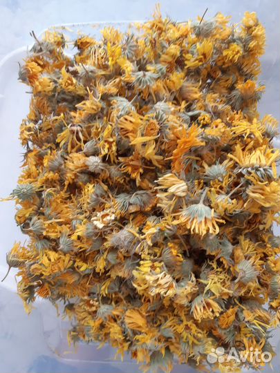 Травы душица крапива зверобой