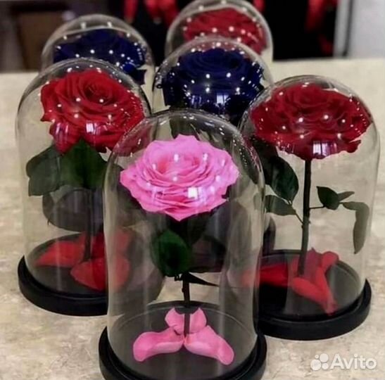 Роза в колбе. От производителя