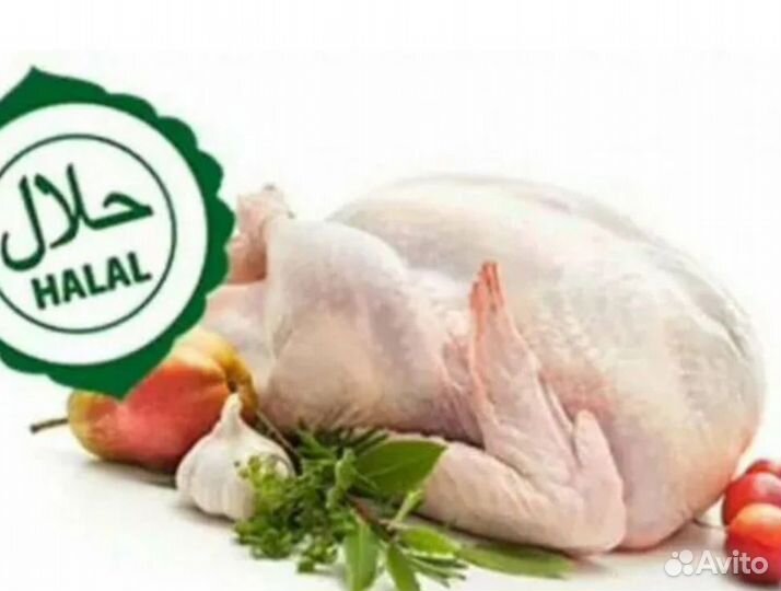 Курица домашняя халяль