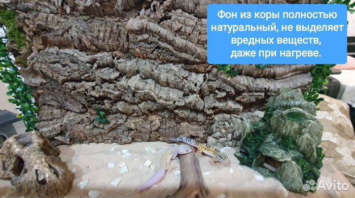 Пробковая кора в террариум, задняя стенка, фон