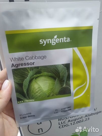 Семена капусты Агрессор 2 500с Сингента