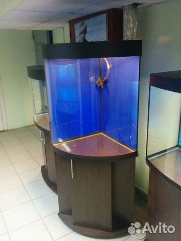 Аквариум 180л. угловой, биофильтр, свет, тумба