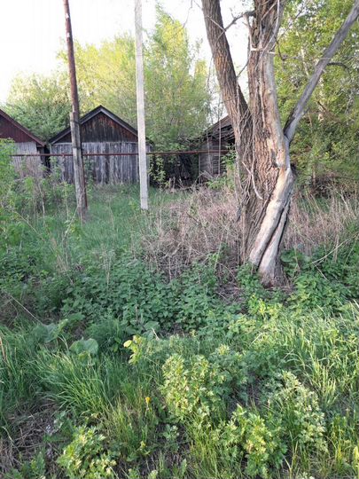 Дом 40 м² на участке 3 сот.