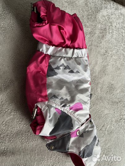 Костюм для собаки мелкой породы