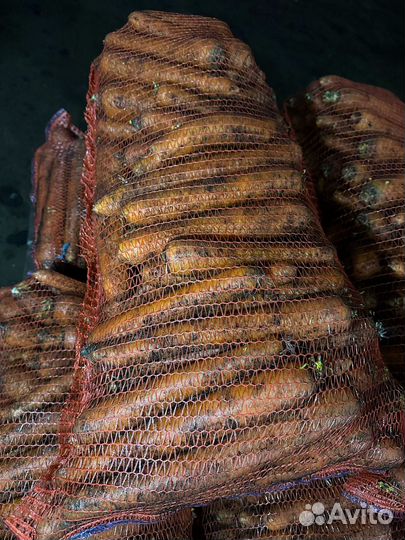 Морковь корейка