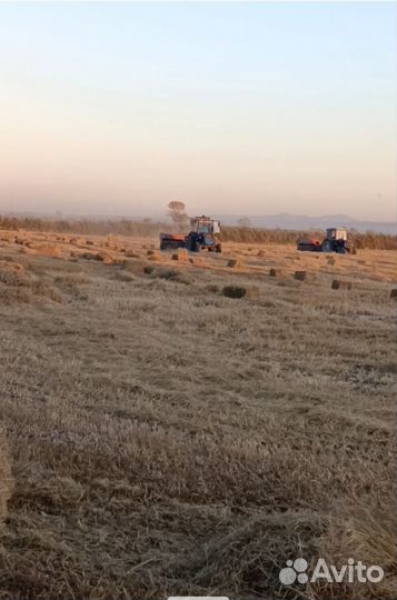 Рисовая солома