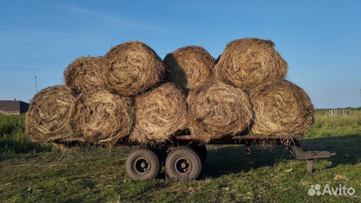 Продам сено в рулонах, тюк 350кг
