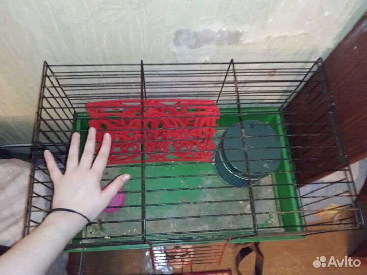 Клетка и переноска для грызунов