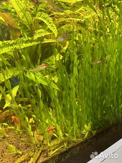 Аквариум с тумбой