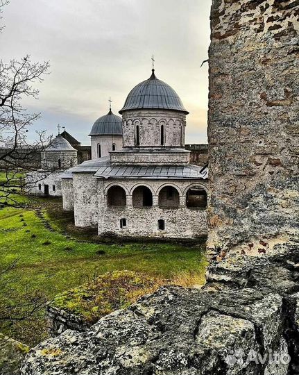 Тур в Ивангород на 1 день