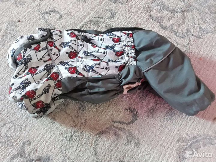 Одежда для собак йорк