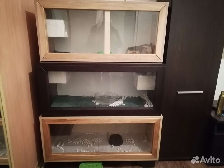 Террариум для королевского питона