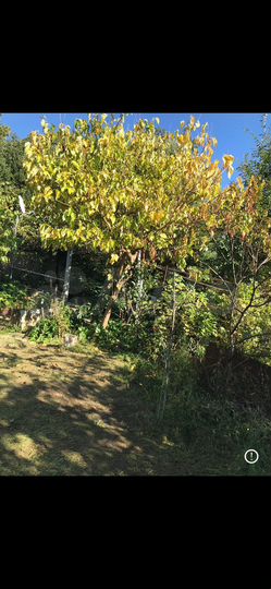 Участок 4,5 сот. (СНТ, ДНП)