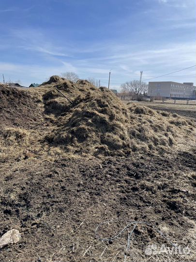 Перегной и навоз