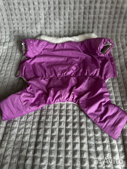 Комбинезоны для собак мелких пород