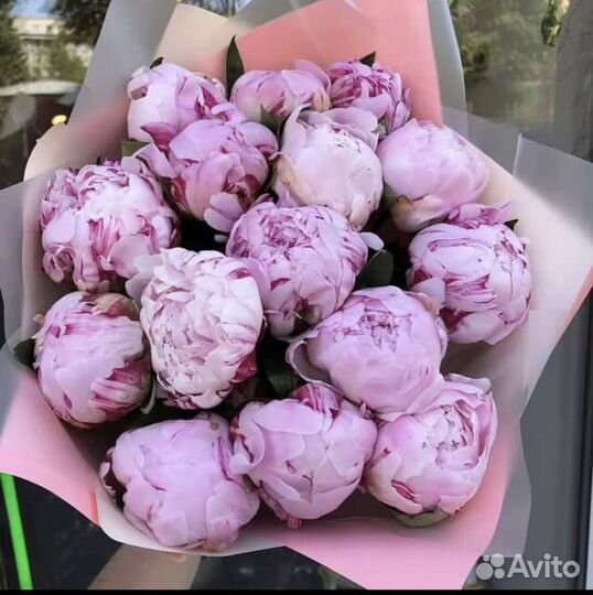 Букет из розовых пионов